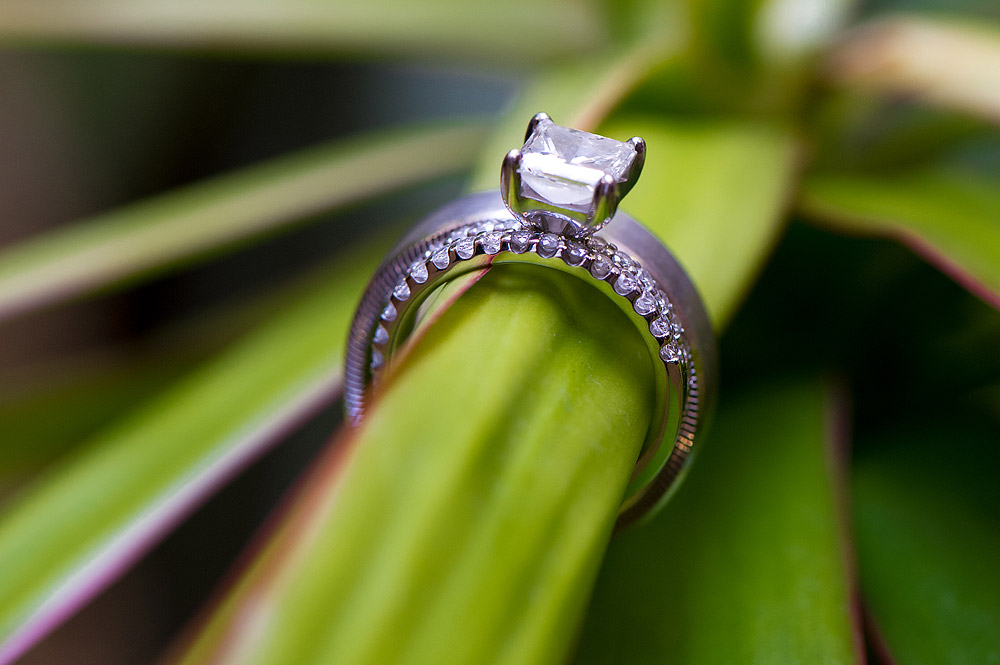 Diamond engagement ring balanced on a green leaf