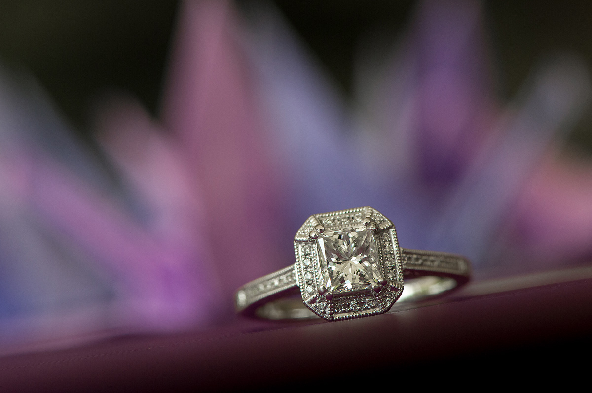 Halo diamond engagement ring against a purple background