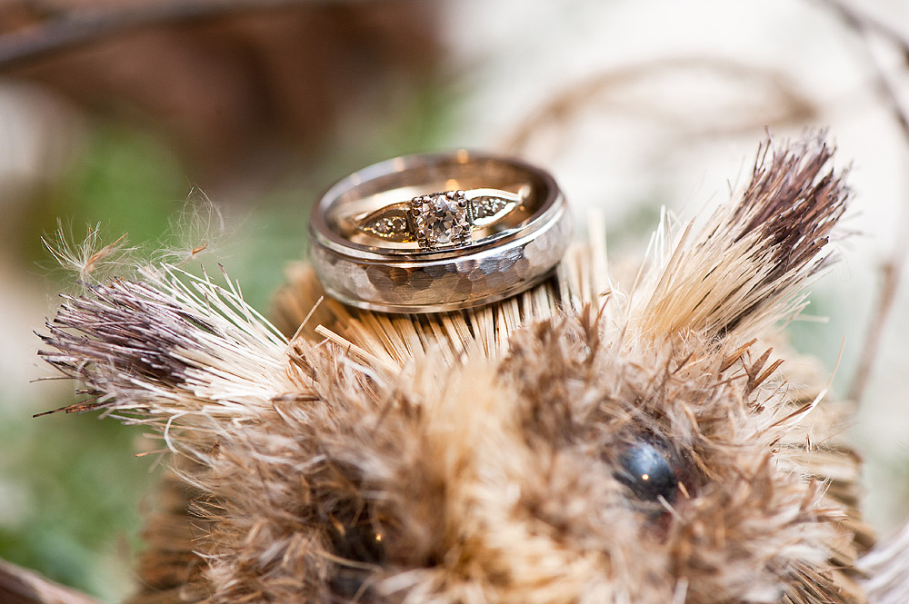 Wedding bands resting on dried botanical details