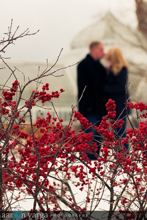 DSC 3100 thumb(pp w480 h717) - Amanda + John Engagement | Phipps Conservatory