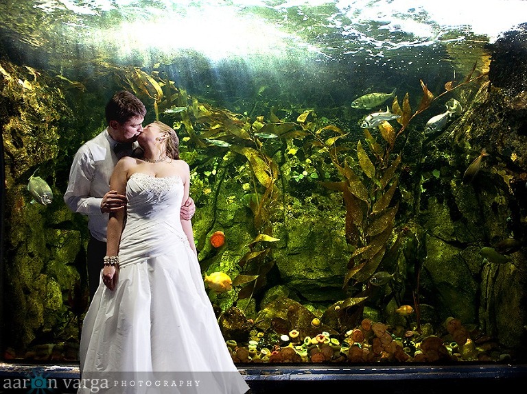 DSC 8274 thumb(pp w768 h575) - Missy + Dave | PPG Aquarium Wedding Photos
