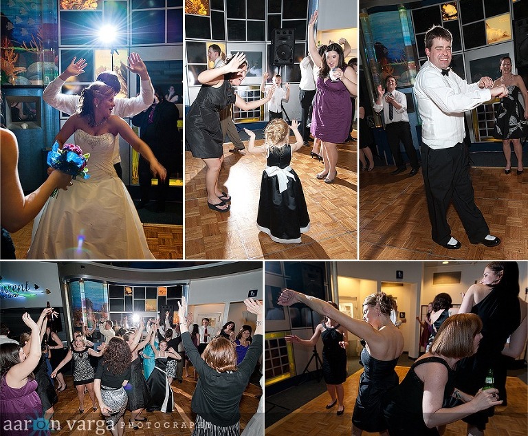 composite14 thumb(pp w768 h634) - Missy + Dave | PPG Aquarium Wedding Photos