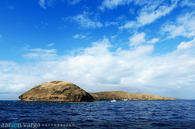 AVP 1600 Edit thumb(pp w768 h508) - Maui, Hawaii