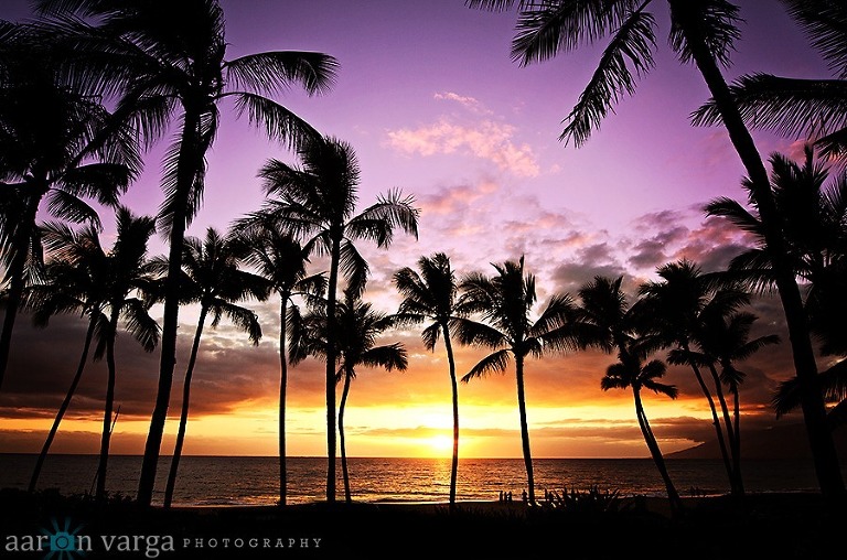 AVP 1656 Edit thumb1(pp w768 h508) - Maui, Hawaii