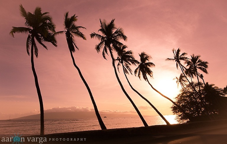 AVP 2218 thumb(pp w768 h488) - Maui, Hawaii