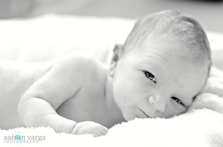 AVP 2542 Edit thumb1(pp w768 h505) - Sneak Peek! Baby Wyatt