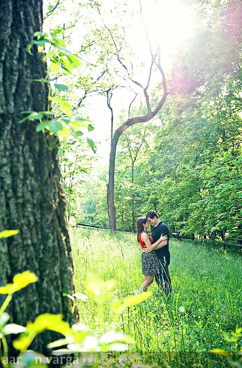 DSC 9259 Edit thumb(pp w480 h728) - Sneak Peek! Laura + Sean | Peters Lake Park Engagement Photos