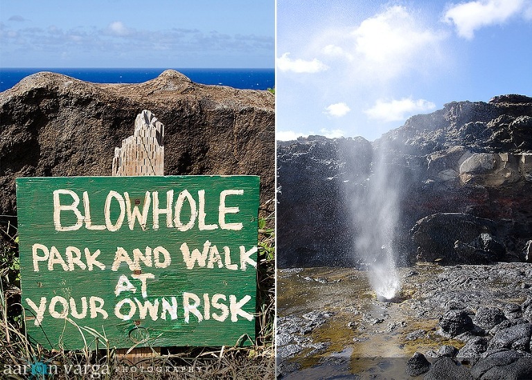 composite2 thumb1(pp w768 h549) - Maui, Hawaii