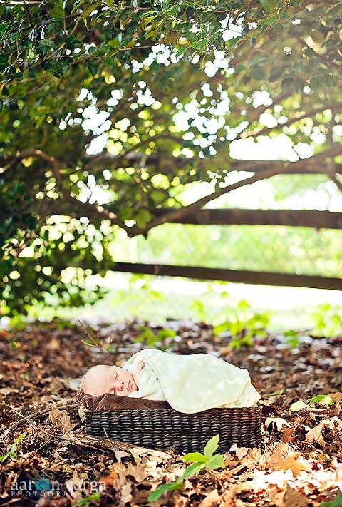 DSC 7966 Edit thumb(pp w480 h711) - Baby Caleb | Pittsburgh Newborn Photographer