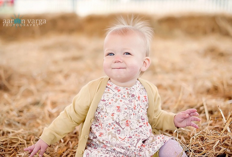 DSC 3170 Edit thumb(pp w768 h523) - Baby Afton | Pumpkin Patch | Pittsburgh Baby Photographer