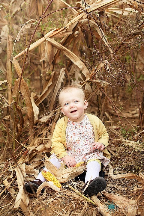 DSC 3255 Edit thumb(pp w480 h721) - Baby Afton | Pumpkin Patch | Pittsburgh Baby Photographer