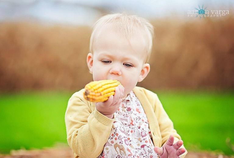 DSC 3323 Edit thumb(pp w768 h518) - Baby Afton | Pumpkin Patch | Pittsburgh Baby Photographer