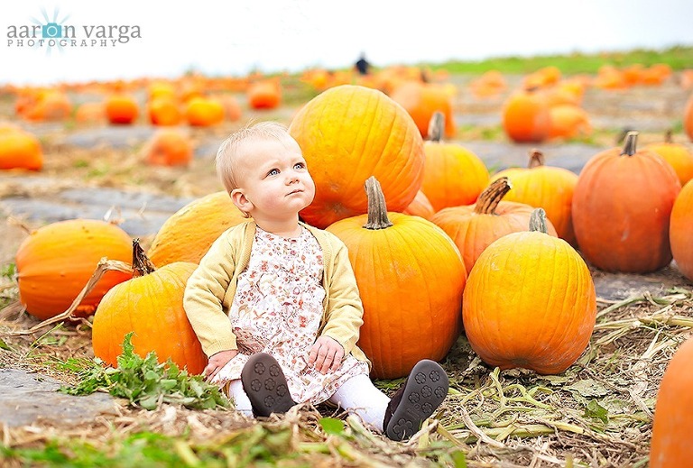 DSC 3337 Edit thumb(pp w768 h519) - Baby Afton | Pumpkin Patch | Pittsburgh Baby Photographer