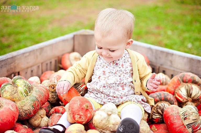 DSC 3377 Edit thumb(pp w768 h511) - Baby Afton | Pumpkin Patch | Pittsburgh Baby Photographer
