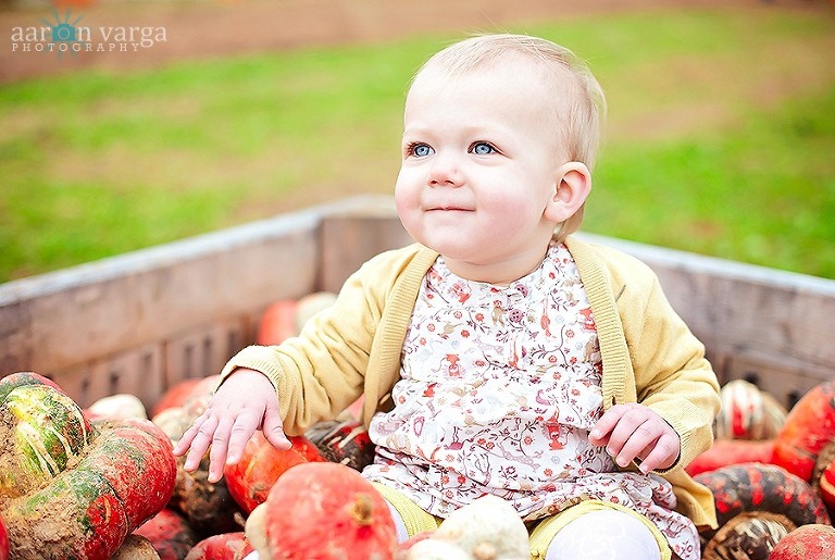 DSC 3378 Edit thumb(pp w768 h515) - Baby Afton | Pumpkin Patch | Pittsburgh Baby Photographer