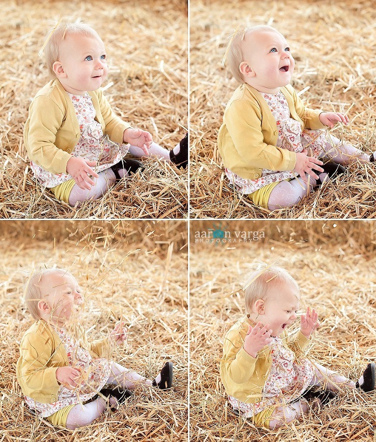 composite2 thumb1(pp w768 h902) - Baby Afton | Pumpkin Patch | Pittsburgh Baby Photographer
