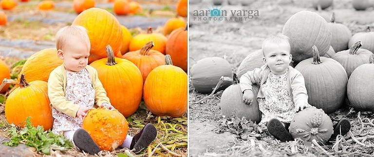 composite3 thumb1(pp w768 h323) - Baby Afton | Pumpkin Patch | Pittsburgh Baby Photographer