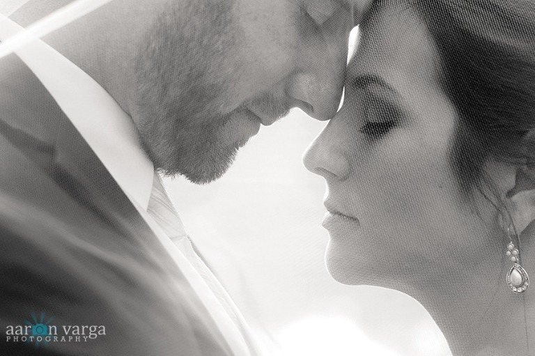 DSC 6301 Edit thumb(pp w768 h511) - Tara + Chris | St. Sebastian Church and Holiday Inn North Hills Wedding