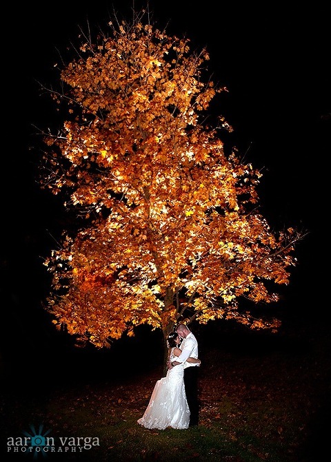 DSC 6906 Edit thumb(pp w480 h671) - Tara + Chris | St. Sebastian Church and Holiday Inn North Hills Wedding