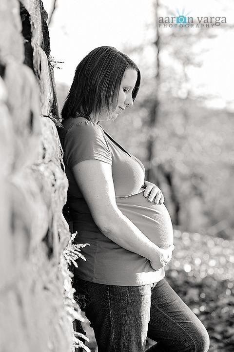 DSC 7429 Edit thumb(pp w480 h721) - Rachel + Bob | Pittsburgh Maternity Photographer