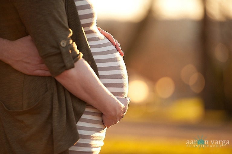 DSC 7455 thumb1(pp w768 h511) - Rachel + Bob | Pittsburgh Maternity Photographer