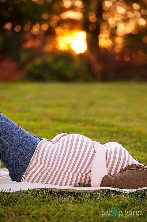 DSC 7544 Edit thumb1(pp w480 h721) - Rachel + Bob | Pittsburgh Maternity Photographer