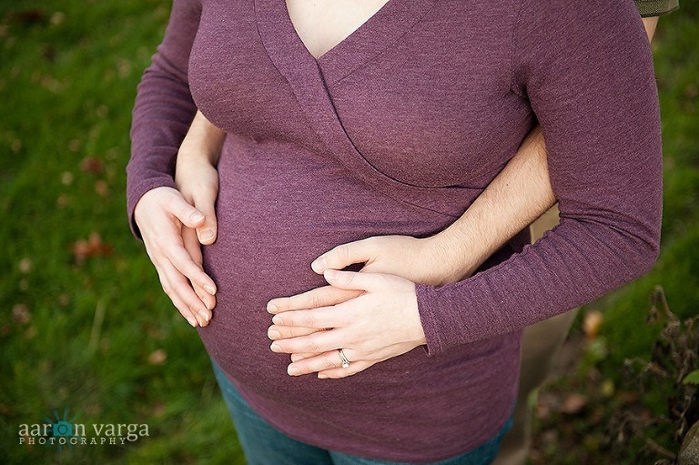 DSC 7605 thumb1(pp w768 h511) - Rachel + Bob | Pittsburgh Maternity Photographer