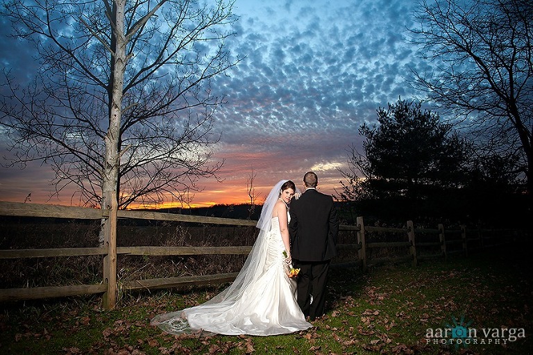 DSC 8334 Edit thumb(pp w768 h511) - Casie + Ben | St. Vincent Basilica Wedding Photos