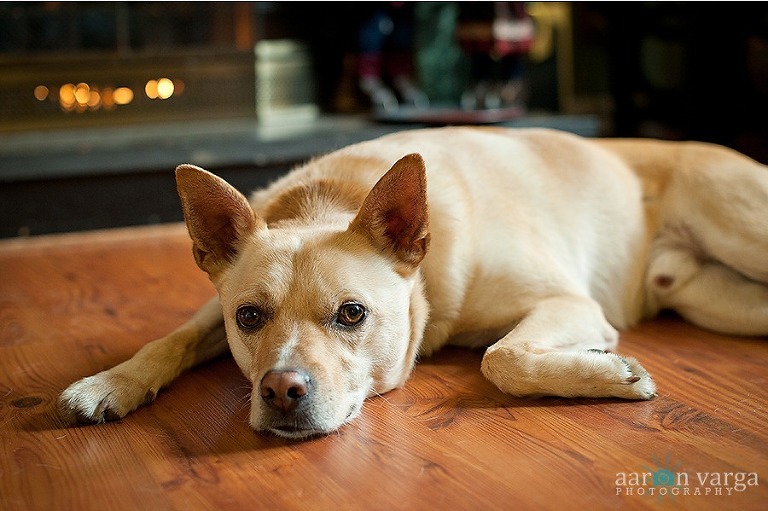 DSC 8912 thumb(pp w768 h511) - Baby Betsy | Pittsburgh Newborn Photographer