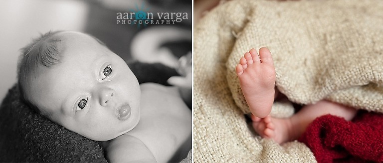 composite2 thumb4(pp w768 h327) - Baby Betsy | Pittsburgh Newborn Photographer