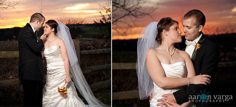 composite8 thumb1(pp w768 h349) - Casie + Ben | St. Vincent Basilica Wedding Photos
