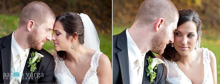 composite9 thumb(pp w768 h293) - Tara + Chris | St. Sebastian Church and Holiday Inn North Hills Wedding