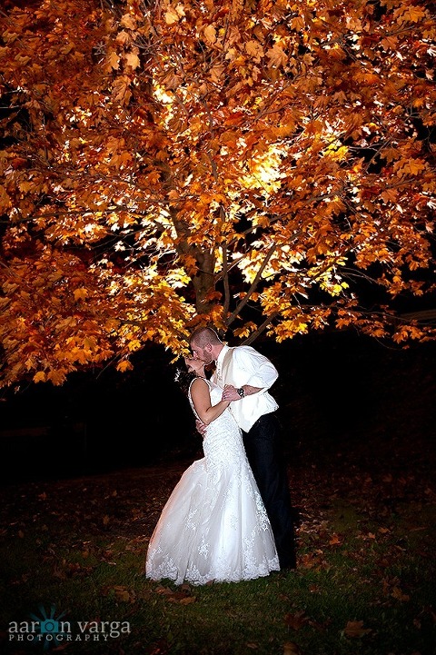 tree thumb(pp w480 h721) - Sneak Peek! Tara + Chris Wedding