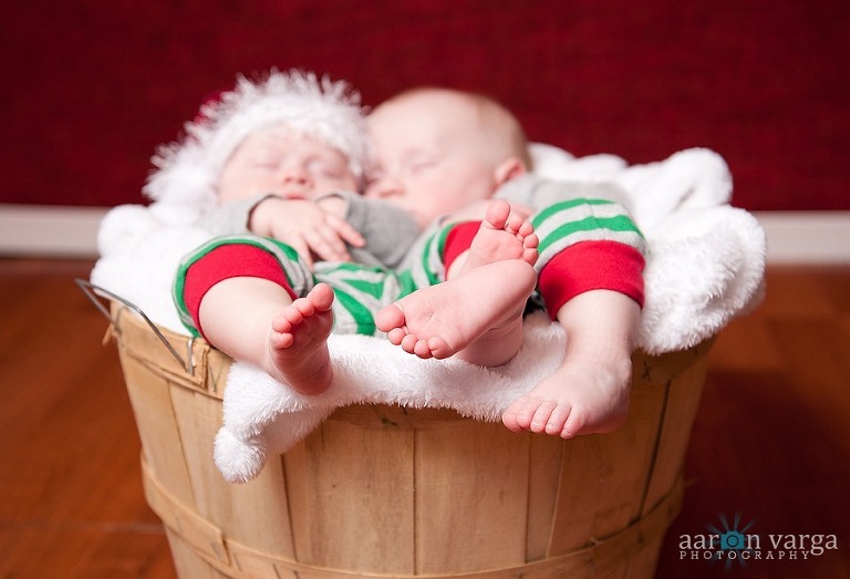 DSC 0072 thumb(pp w768 h523) - Luiza &amp; Tiago | Pittsburgh Twins Photographer