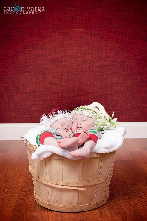 DSC 0100 Edit thumb(pp w480 h720) - Luiza &amp; Tiago | Pittsburgh Twins Photographer
