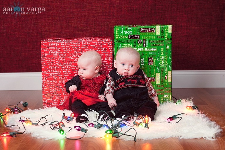 DSC 0158 Edit thumb(pp w768 h511) - Luiza &amp; Tiago | Pittsburgh Twins Photographer