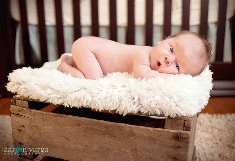 DSC 9434 Edit thumb(pp w768 h526) - Baby Brendan | Pittsburgh Newborn Photographer