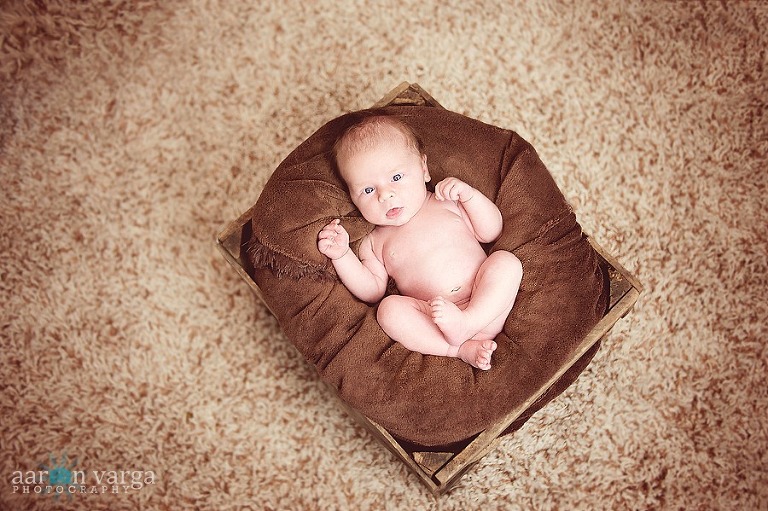 DSC 9491 Edit thumb(pp w768 h511) - Baby Brendan | Pittsburgh Newborn Photographer