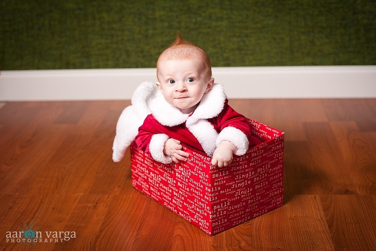 DSC 9846 thumb(pp w768 h514) - Santa Baby | Sebastian 6 Months | Pittsburgh Baby Photographer