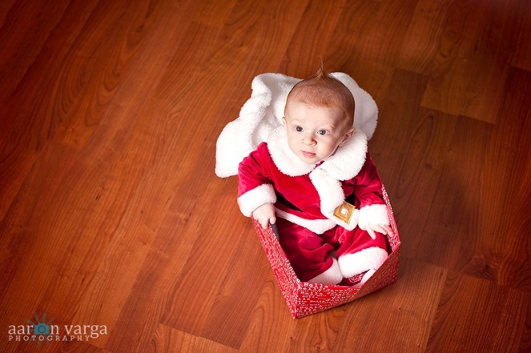 DSC 9853 Edit thumb(pp w768 h511) - Santa Baby | Sebastian 6 Months | Pittsburgh Baby Photographer