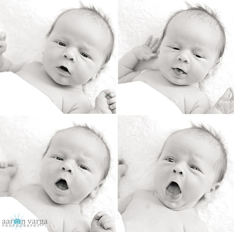 composite1 thumb2(pp w768 h761) - Baby Brendan | Pittsburgh Newborn Photographer