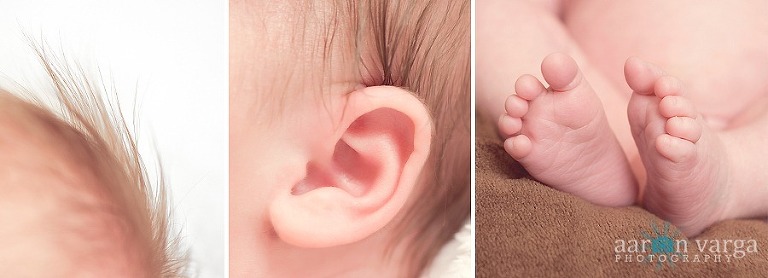 composite2 thumb2(pp w768 h278) - Baby Brendan | Pittsburgh Newborn Photographer