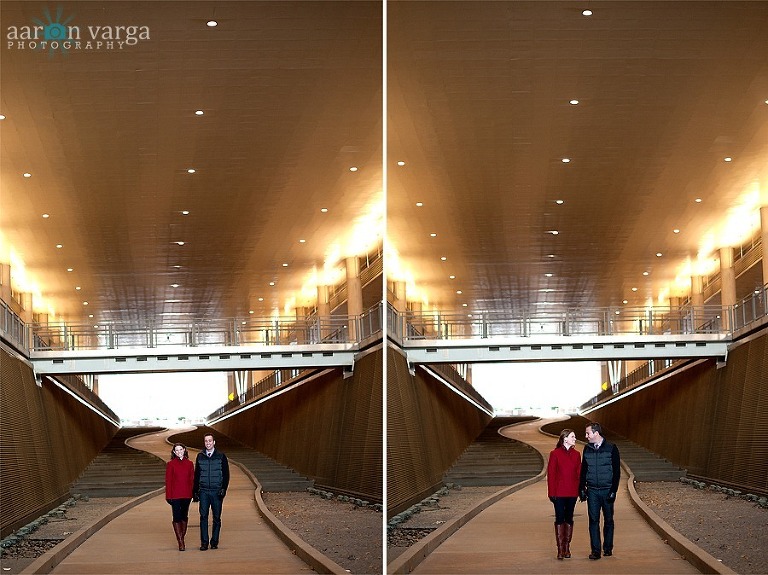 composite5 thumb1(pp w768 h575) - Jessica + Dave | Christmas Engagement Photos