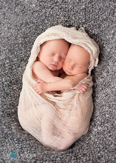 DSC 1777 Edit thumb(pp w480 h672) - Julianna &amp; Brayden | Pittsburgh Twins Photographer