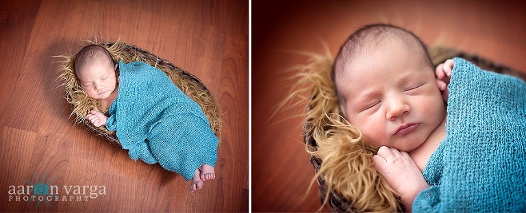composite1 thumb2(pp w768 h311) - Gabriel | Pittsburgh Newborn Photographer
