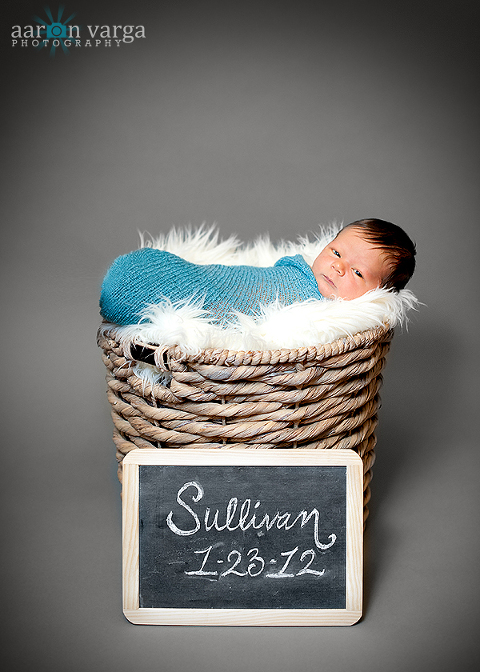 DSC 2933 Edit(pp w480 h672) - Sullivan | Pittsburgh Newborn Photographer