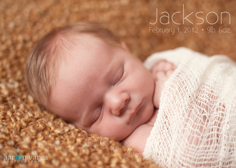 DSC 2975 Edit copy1(pp w768 h548) - Jackson | Pittsburgh Newborn Photographer