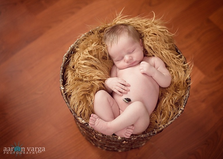 DSC 3017 Edit thumb(pp w768 h548) - Jackson | Pittsburgh Newborn Photographer