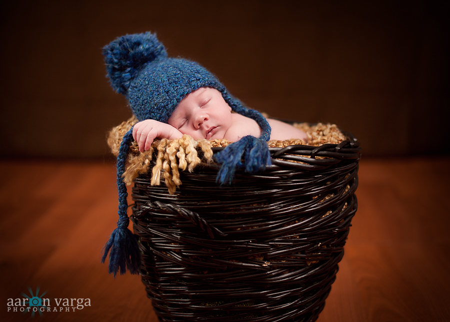 Pittsburgh Newborn Photographer