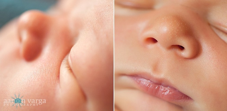 composite1 thumb(pp w768 h378) - Sullivan | Pittsburgh Newborn Photographer